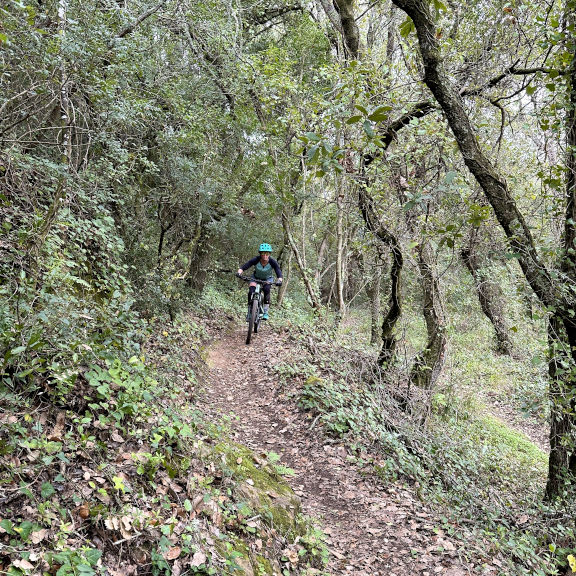 Lizandro Trails - mountain biking - #4